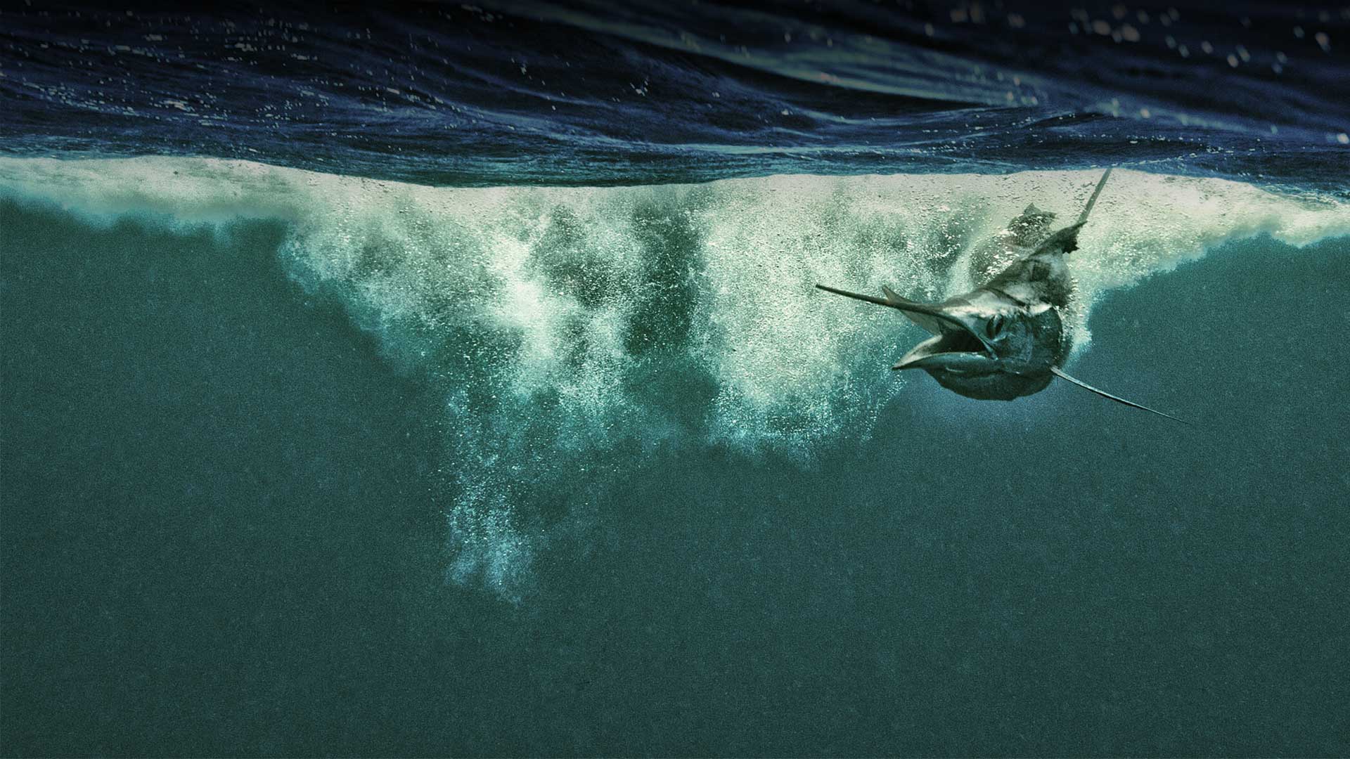 Kevin Dodge’s Marine Photography is Unlike Anything You’ve Ever Seen